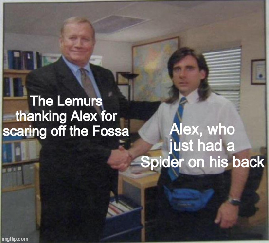 For those who were born in the early 2000s will understand | The Lemurs thanking Alex for scaring off the Fossa; Alex, who just had a Spider on his back | image tagged in the office handshake,madagascar,dank memes,memes,funny,funny memes | made w/ Imgflip meme maker
