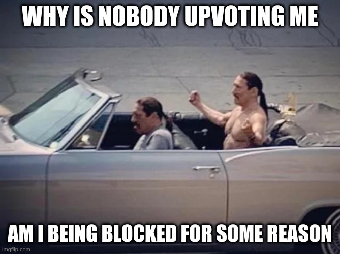 let's see some memes people!!!! | WHY IS NOBODY UPVOTING ME AM I BEING BLOCKED FOR SOME REASON | image tagged in irony,canada | made w/ Imgflip meme maker