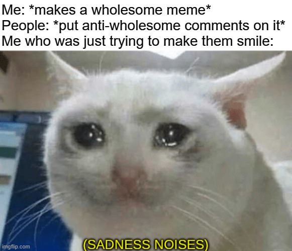 sadness noises | Me: *makes a wholesome meme*
People: *put anti-wholesome comments on it*
Me who was just trying to make them smile: | image tagged in sadness noises | made w/ Imgflip meme maker