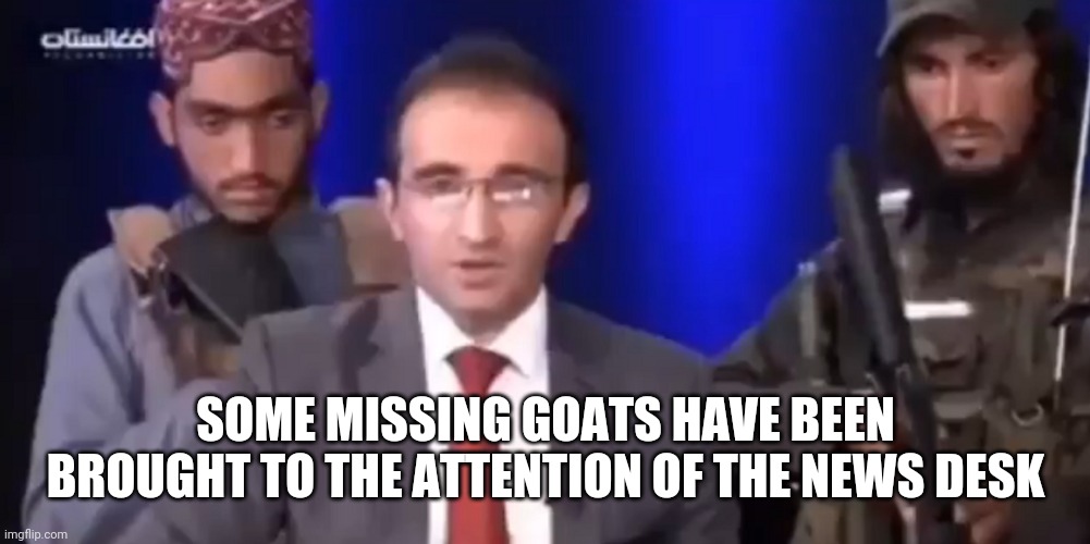 Afghan News Desk | SOME MISSING GOATS HAVE BEEN BROUGHT TO THE ATTENTION OF THE NEWS DESK | image tagged in political,funny memes | made w/ Imgflip meme maker