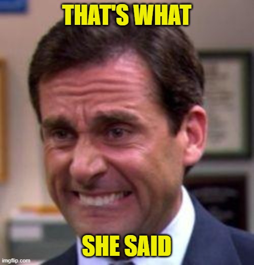 Michael Scott | THAT'S WHAT SHE SAID | image tagged in michael scott | made w/ Imgflip meme maker