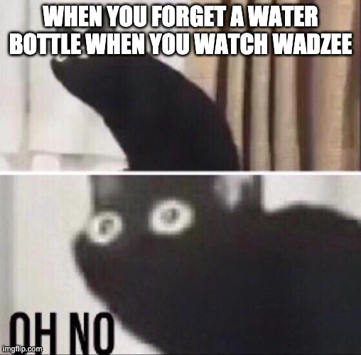 Oh no cat | WHEN YOU FORGET A WATER BOTTLE WHEN YOU WATCH WADZEE | image tagged in oh no cat,wadzee,youtuber,youtube,youtubers | made w/ Imgflip meme maker