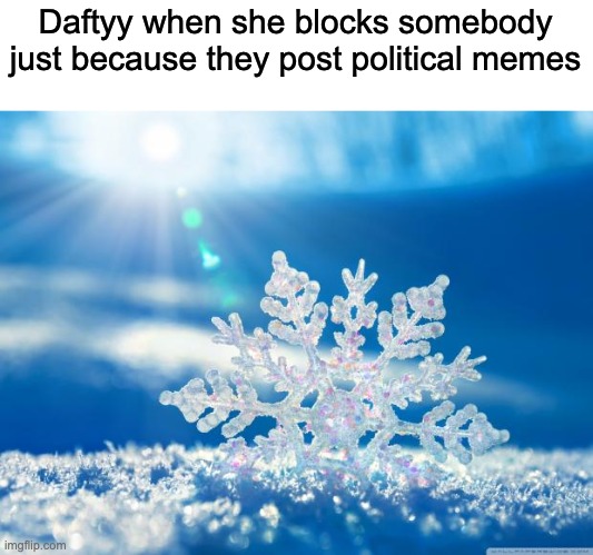 title is a title | Daftyy when she blocks somebody just because they post political memes | image tagged in snowflake,ugh,daftyy | made w/ Imgflip meme maker