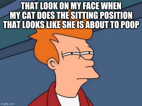 Futurama Fry Meme | THAT LOOK ON MY FACE WHEN MY CAT DOES THE SITTING POSITION THAT LOOKS LIKE SHE IS ABOUT TO POOP | image tagged in memes,futurama fry,cats | made w/ Imgflip meme maker