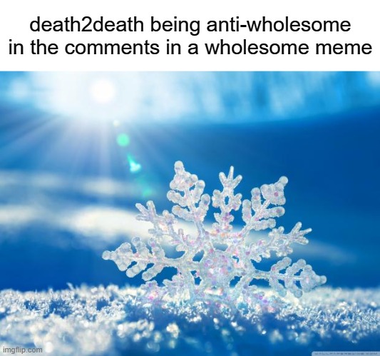 snowflake | death2death being anti-wholesome in the comments in a wholesome meme | image tagged in snowflake | made w/ Imgflip meme maker