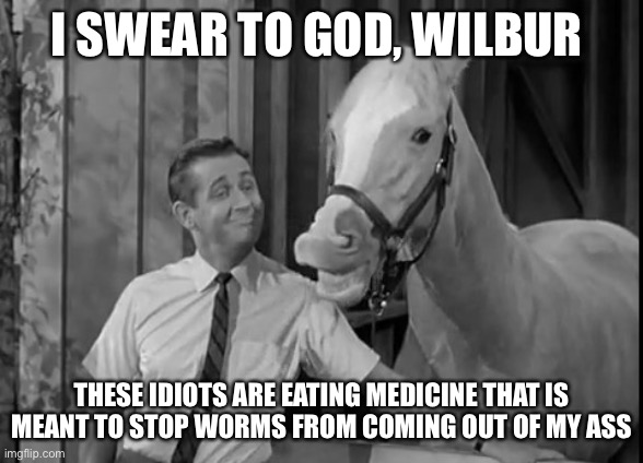 Mr Ed disapproves | I SWEAR TO GOD, WILBUR; THESE IDIOTS ARE EATING MEDICINE THAT IS MEANT TO STOP WORMS FROM COMING OUT OF MY ASS | image tagged in mr ed,trump supporters,antivax,invermectin | made w/ Imgflip meme maker