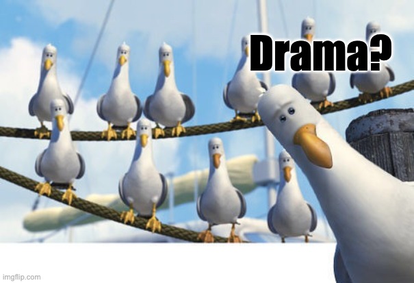 Finding Nemo Seagulls | Drama? | image tagged in finding nemo seagulls | made w/ Imgflip meme maker