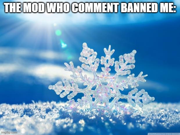 snowflake | THE MOD WHO COMMENT BANNED ME: | image tagged in snowflake | made w/ Imgflip meme maker