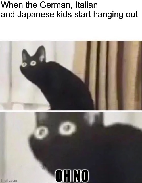 Oh No Black Cat | When the German, Italian and Japanese kids start hanging out; OH NO | image tagged in oh no black cat | made w/ Imgflip meme maker