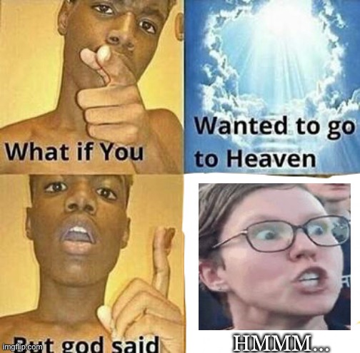LoL Libs?! | HMMM… | image tagged in what if you wanted to go to heaven | made w/ Imgflip meme maker