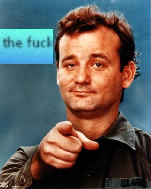 Bill Murray  | image tagged in bill murray | made w/ Imgflip meme maker