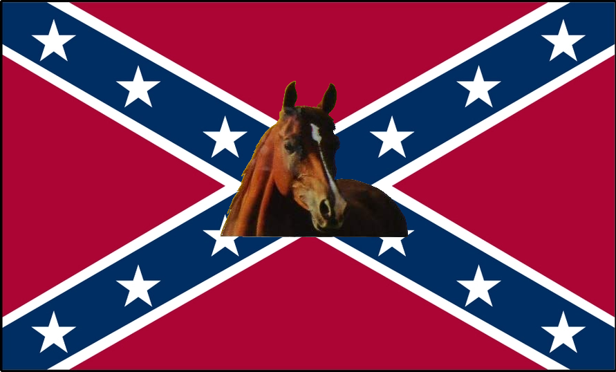Conservative Flag Blank Meme Template