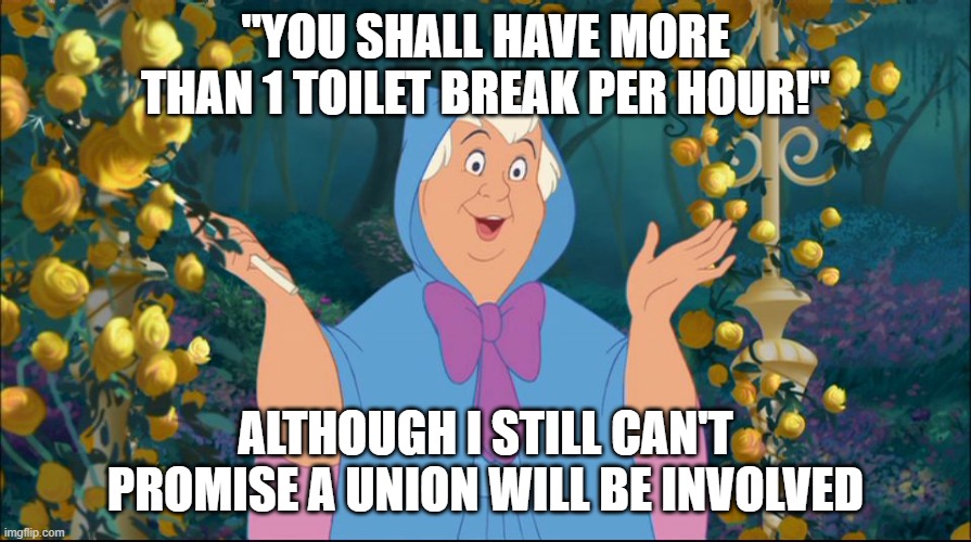 New Cinderella Film by Amazon | "YOU SHALL HAVE MORE THAN 1 TOILET BREAK PER HOUR!"; ALTHOUGH I STILL CAN'T PROMISE A UNION WILL BE INVOLVED | image tagged in cinderella fairy godmother,amazon,cinderella | made w/ Imgflip meme maker