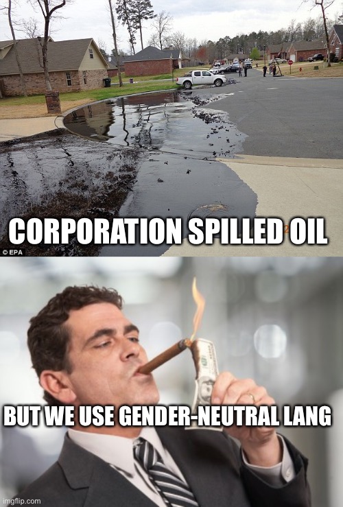 CORPORATION SPILLED OIL; BUT WE USE GENDER-NEUTRAL LANGUAGE | image tagged in oil spill,money cigar | made w/ Imgflip meme maker