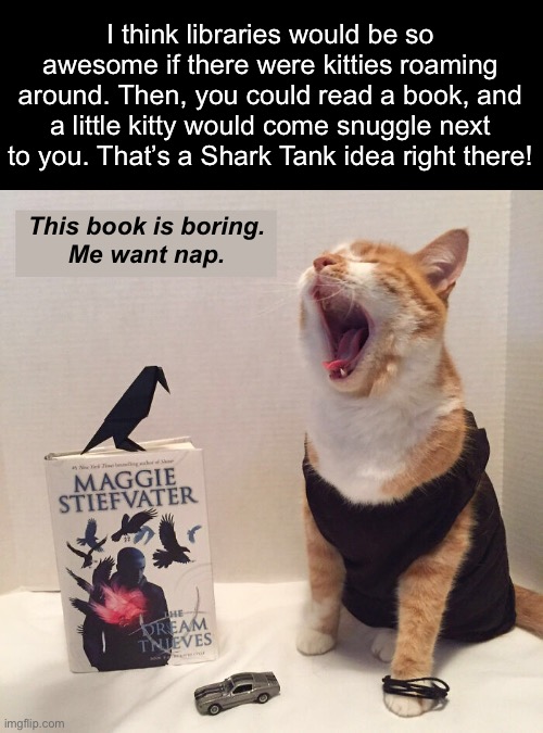 I think libraries would be so awesome if there were kitties roaming around. Then, you could read a book, and a little kitty would come snugg | made w/ Imgflip meme maker