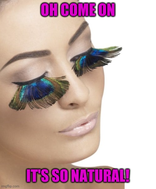 2019 Eye Lashes are out of pocket | OH COME ON IT'S SO NATURAL! | image tagged in 2019 eye lashes are out of pocket | made w/ Imgflip meme maker