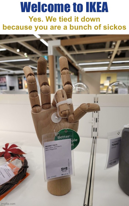 Flipping a Bird | Welcome to IKEA; Yes. We tied it down because you are a bunch of sickos | image tagged in funny memes | made w/ Imgflip meme maker