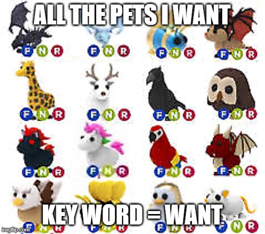 All the pets i WANT | ALL THE PETS I WANT; KEY WORD = WANT | image tagged in adopt me pets | made w/ Imgflip meme maker