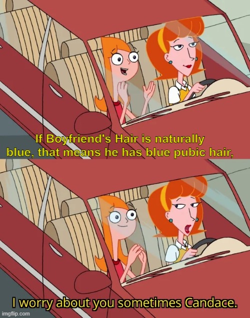 I worry about you sometimes Candace | If Boyfriend's Hair is naturally blue, that means he has blue pubic hair, | image tagged in i worry about you sometimes candace | made w/ Imgflip meme maker