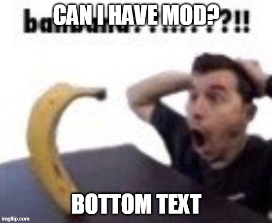 banbana??!!!???!! | CAN I HAVE MOD? BOTTOM TEXT | image tagged in banbana | made w/ Imgflip meme maker