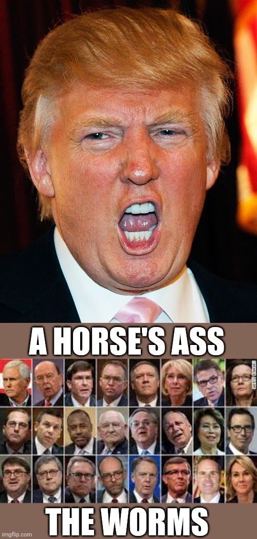 A HORSE'S ASS THE WORMS | image tagged in trump mouth open,trump administration | made w/ Imgflip meme maker