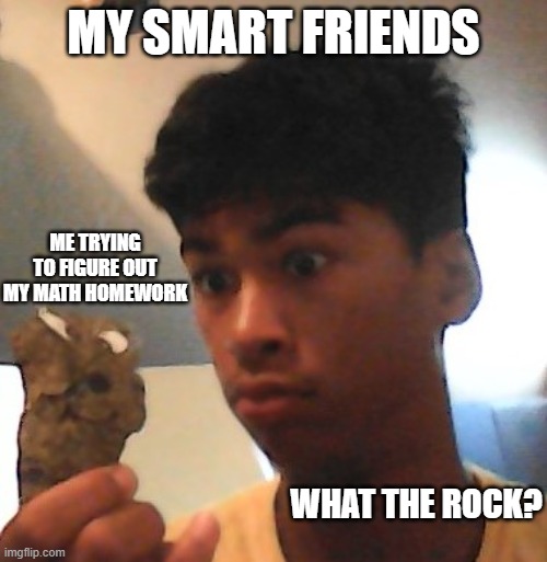 School | MY SMART FRIENDS; ME TRYING TO FIGURE OUT MY MATH HOMEWORK; WHAT THE ROCK? | image tagged in what the rock | made w/ Imgflip meme maker