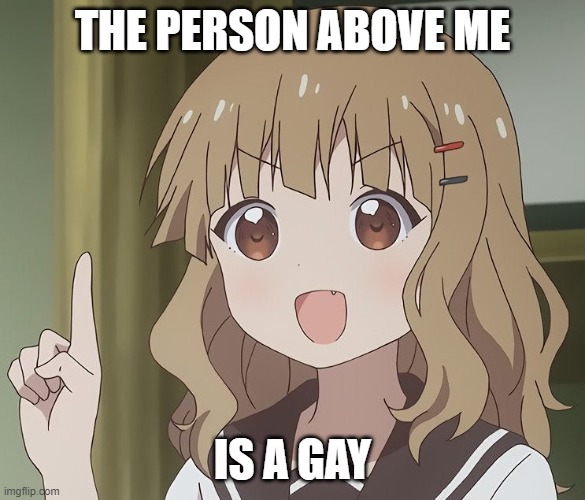 The person above me | THE PERSON ABOVE ME; IS A GAY | image tagged in the person above me | made w/ Imgflip meme maker