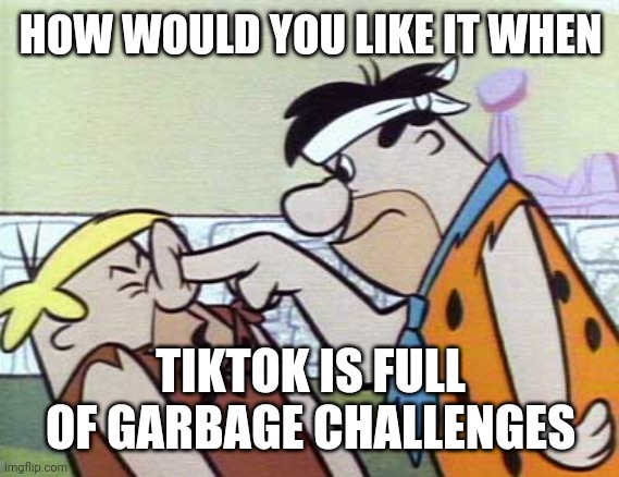HOW WOULD YOU LIKE IT WHEN TIKTOK IS FULL OF GARBAGE CHALLENGES | made w/ Imgflip meme maker