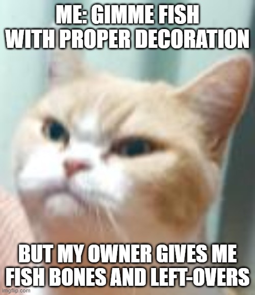 Why u no listen to me? | ME: GIMME FISH WITH PROPER DECORATION; BUT MY OWNER GIVES ME FISH BONES AND LEFT-OVERS | image tagged in caat,memes,fish,angry | made w/ Imgflip meme maker
