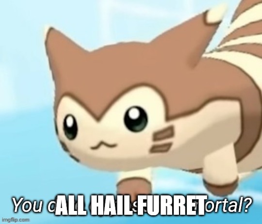 ALL HAIL FURRET | ALL HAIL FURRET | image tagged in furret you dare oppose me mortal | made w/ Imgflip meme maker