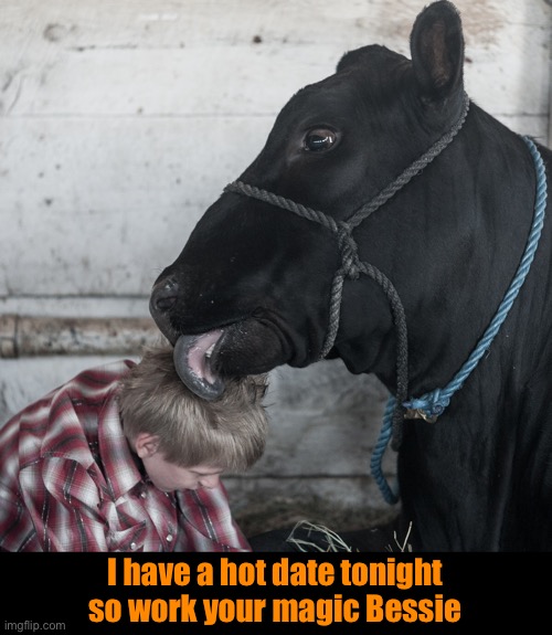 I have a hot date tonight so work your magic Bessie | made w/ Imgflip meme maker