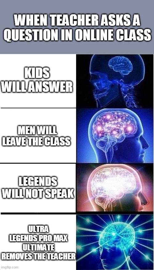 Expanding Brain Meme | WHEN TEACHER ASKS A QUESTION IN ONLINE CLASS; KIDS WILL ANSWER; MEN WILL LEAVE THE CLASS; LEGENDS WILL NOT SPEAK; ULTRA LEGENDS PRO MAX ULTIMATE REMOVES THE TEACHER | image tagged in memes,expanding brain,lol,funny,funny memes,hahaha | made w/ Imgflip meme maker