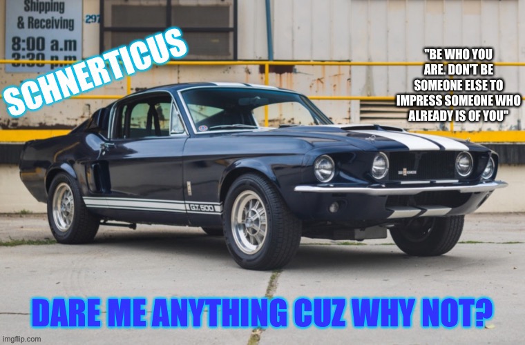 schnerticus temp | DARE ME ANYTHING CUZ WHY NOT? | image tagged in schnerticus temp | made w/ Imgflip meme maker