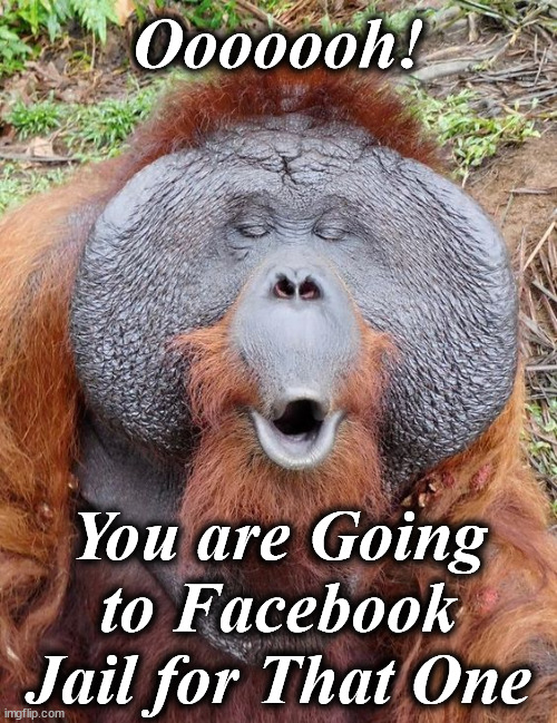 orangatan | Ooooooh! You are Going to Facebook Jail for That One | image tagged in orangatan | made w/ Imgflip meme maker