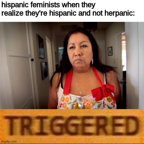 im not racist lmao | hispanic feminists when they realize they're hispanic and not herpanic: | image tagged in hispanic mom,roblox triggered | made w/ Imgflip meme maker