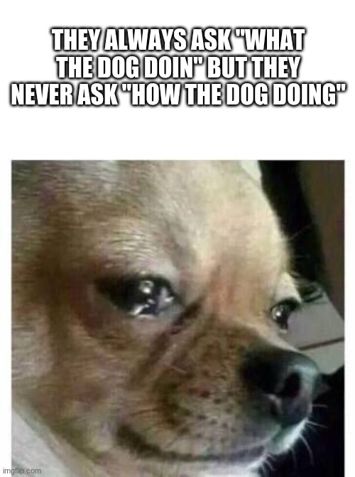 *sad dog noises* | THEY ALWAYS ASK "WHAT THE DOG DOIN" BUT THEY NEVER ASK "HOW THE DOG DOING" | image tagged in crying dog,sad | made w/ Imgflip meme maker