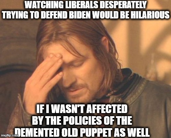 This does affect the rest of us who didn't vote for this madness, libtards. | WATCHING LIBERALS DESPERATELY TRYING TO DEFEND BIDEN WOULD BE HILARIOUS; IF I WASN'T AFFECTED BY THE POLICIES OF THE DEMENTED OLD PUPPET AS WELL | image tagged in memes,joe biden,liberal logic,stupid liberals,liberal hypocrisy | made w/ Imgflip meme maker