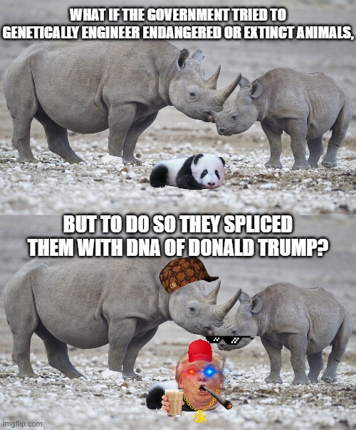 Think Jurassic Park, but worse. (Trump has been symbolized as a Frog...) The D in DNA stands for Donald. | WHAT IF THE GOVERNMENT TRIED TO GENETICALLY ENGINEER ENDANGERED OR EXTINCT ANIMALS, BUT TO DO SO THEY SPLICED THEM WITH DNA OF DONALD TRUMP? | image tagged in endangered species,donald trump,genetics,jurassic park | made w/ Imgflip meme maker