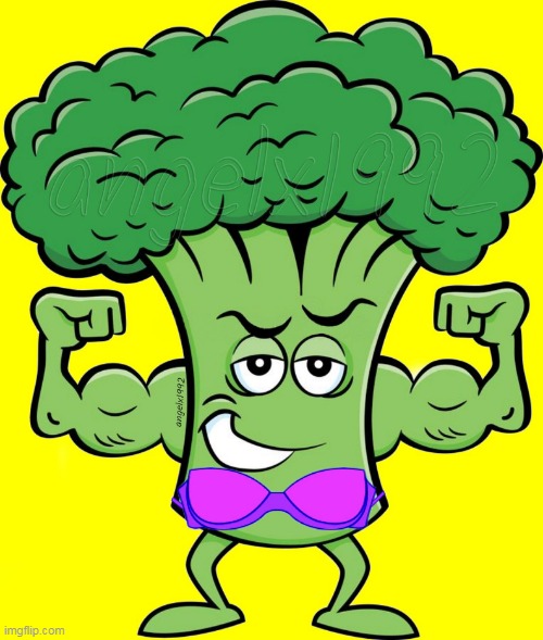 image tagged in broccoli,vegetables,bra,food,underwear,breasts | made w/ Imgflip meme maker