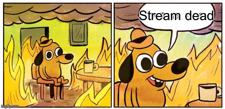 This Is Fine | Stream dead | image tagged in memes,this is fine | made w/ Imgflip meme maker
