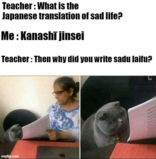 Sad laifu | Teacher : What is the Japanese translation of sad life? Me : Kanashī jinsei; Teacher : Then why did you write sadu laifu? | image tagged in black cat and teacher | made w/ Imgflip meme maker