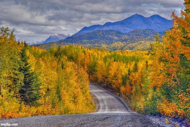 I grew up in the Kenai National Moose Range--now Kenai National Wildlife Refuge. | image tagged in alaska,landscape,childhood | made w/ Imgflip meme maker