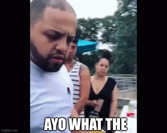 ayo what the guy | AYO WHAT THE | image tagged in ayo what the guy | made w/ Imgflip meme maker