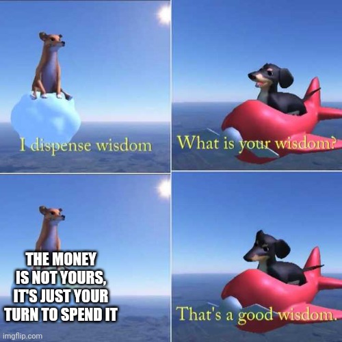 Idk | THE MONEY IS NOT YOURS, IT'S JUST YOUR TURN TO SPEND IT | image tagged in wisdom dog | made w/ Imgflip meme maker