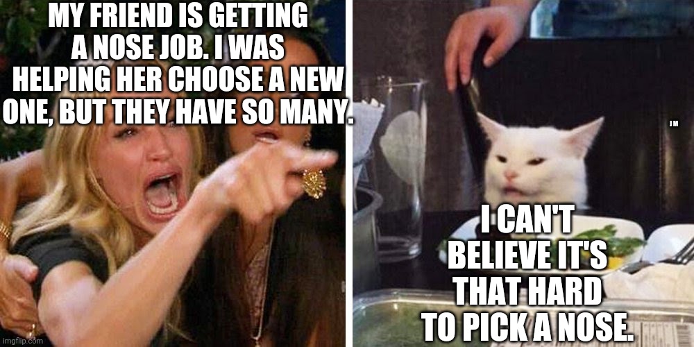 Smudge the cat | MY FRIEND IS GETTING A NOSE JOB. I WAS HELPING HER CHOOSE A NEW ONE, BUT THEY HAVE SO MANY. I CAN'T BELIEVE IT'S THAT HARD TO PICK A NOSE. J M | image tagged in smudge the cat | made w/ Imgflip meme maker
