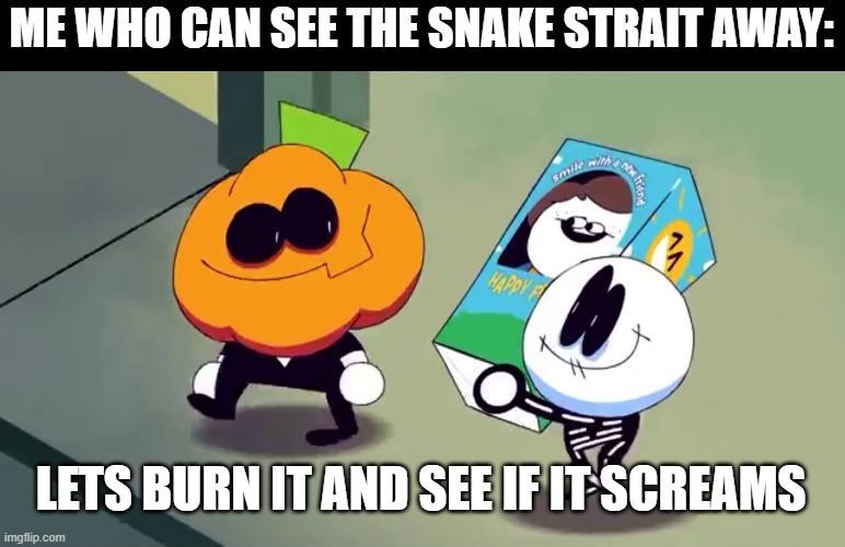 Lets burn it and see if it screams! | ME WHO CAN SEE THE SNAKE STRAIT AWAY: LETS BURN IT AND SEE IF IT SCREAMS | image tagged in lets burn it and see if it screams | made w/ Imgflip meme maker