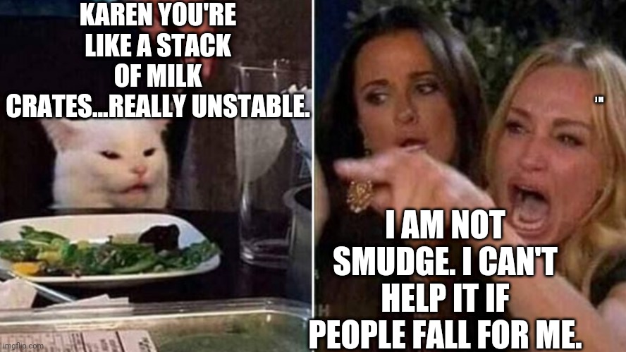 Reverse Smudge and Karen | KAREN YOU'RE LIKE A STACK OF MILK CRATES...REALLY UNSTABLE. J M; I AM NOT SMUDGE. I CAN'T HELP IT IF PEOPLE FALL FOR ME. | image tagged in reverse smudge and karen | made w/ Imgflip meme maker