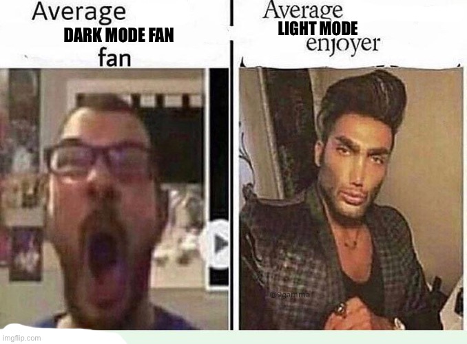 Average *BLANK* Fan VS Average *BLANK* Enjoyer | LIGHT MODE; DARK MODE FAN | image tagged in average blank fan vs average blank enjoyer,light mode,dark mode,fun mode,stop reading the tags | made w/ Imgflip meme maker