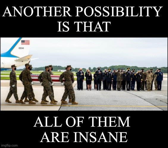 Maybe they are insane? | ANOTHER POSSIBILITY 
IS THAT; ALL OF THEM 
ARE INSANE | image tagged in joe biden,creepy joe biden,biden,kamala harris,democrat party,election fraud | made w/ Imgflip meme maker