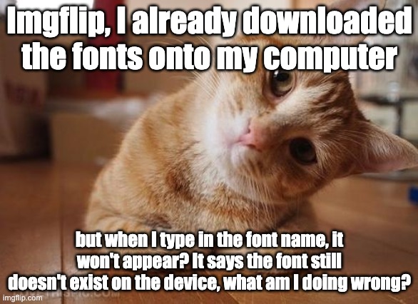 I use Apple. | Imgflip, I already downloaded the fonts onto my computer; but when I type in the font name, it won't appear? It says the font still doesn't exist on the device, what am I doing wrong? | image tagged in curious question cat,help | made w/ Imgflip meme maker